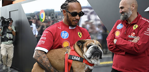 ハミルトン、愛犬ロスコー重篤でピレリテスト欠席、周冠宇が代走